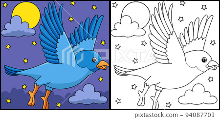 Bluebird Animal Coloring Page Colored Illustration 94087701