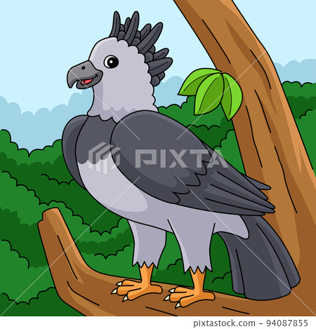 Harpy Eagle Animal Colored Cartoon Illustration Harpy Eagle Animal Colored Cartoon Illustration 94087855