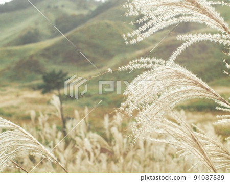 高地鈴木 94087889