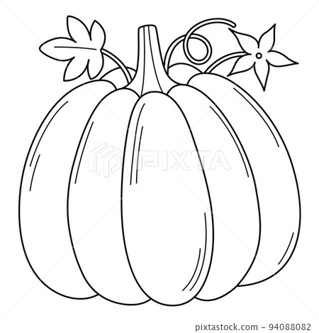 Pumpkin Vegetable Isolated Coloring Page for Kids 94088082