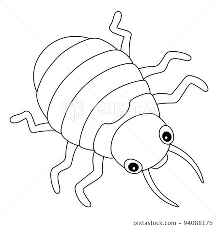 Bedbug Animal Isolated Coloring Page for Kids Bedbug Animal Isolated Coloring Page for Kids 94088176