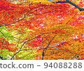 明亮的陽光照耀在紅葉的秋天森林之外 94088288