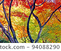明亮的陽光照耀在紅葉的秋天森林之外 94088290