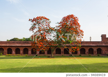 Jiraukana in the forecourt of the Taj Mahal in Agra, India 94089419