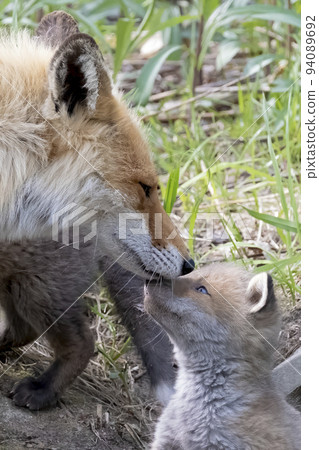 Tattoos Tattoos 94089692