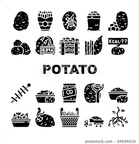 potato vegetable food fresh icons set vector 94089820