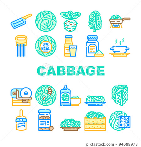 cabbage white green vegetable icons set vector cabbage white green vegetable icons set vector 94089978