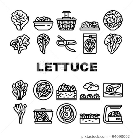 lettuce salad leaf vegetable icons set vector - Stock Illustration ...