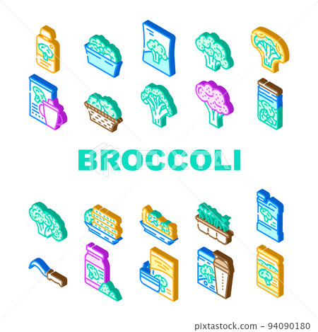 broccoli vegetable green food icons set vector 94090180