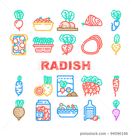 radish food organic vegetable icons set vector radish food organic vegetable icons set vector 94090186