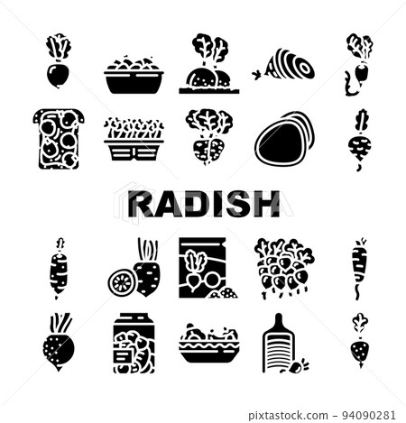 radish food organic vegetable icons set vector radish food organic vegetable icons set vector 94090281