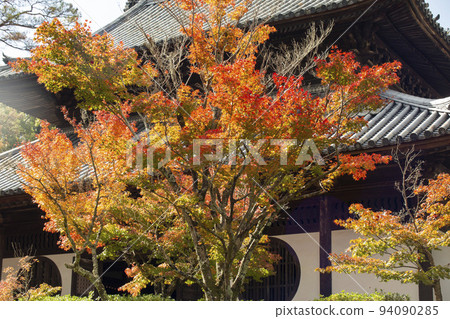 Autumn in Soja City 94090285