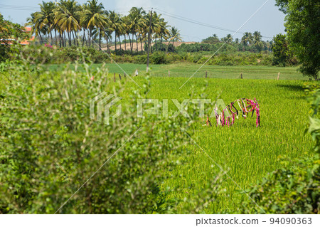 前往印度果阿奔鬧林海灘途中的風景 94090363