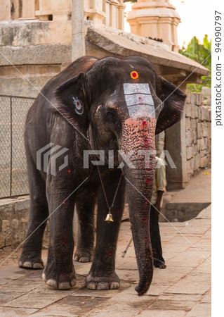 Elephant in front of Virupaksha Temple, one of the buildings in Hampi, India 94090797