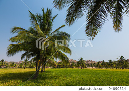 Rural scenery of Hampi, India Rural scenery of Hampi, India 94090814