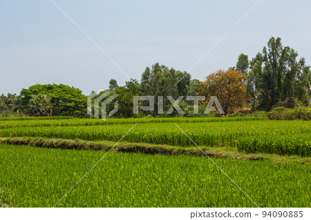 Rural scenery of Hampi, India 94090885