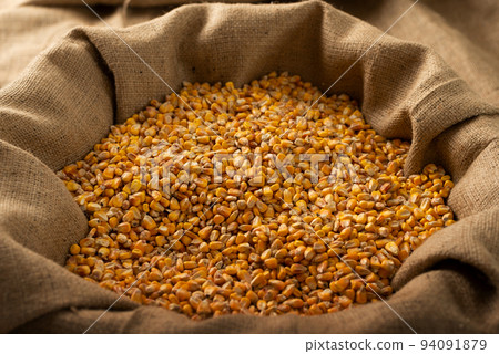 Burlap sack filled with yellow corn kernels 94091879