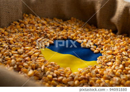 Burlap sack with corn kernels and Ukrainian flag concept 94091880