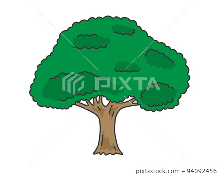 綠葉樹的插圖 94092456