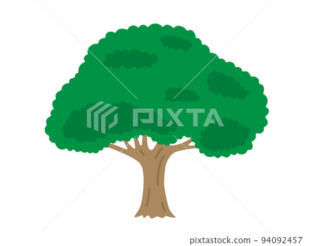 綠葉樹的插圖 94092457