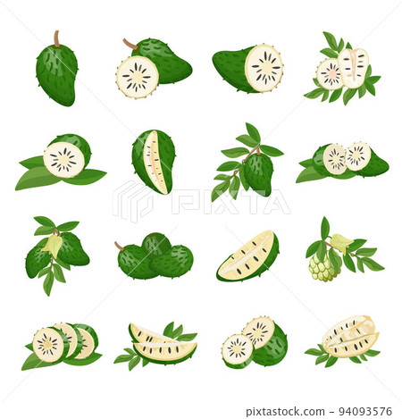 Soursop icons set cartoon vector. Muricata fruit. Fruit plant 94093576