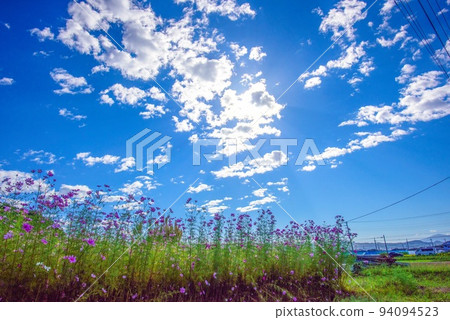 藍天和宇宙 94094523