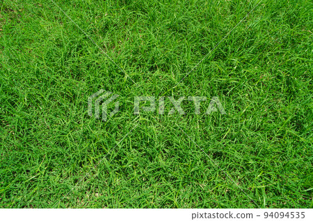 Green grass texture background, Top view of grass garden Ideal concept used for making green flooring, lawn for a training football pitch, Grass Golf Courses green lawn pattern textured background. 94094535