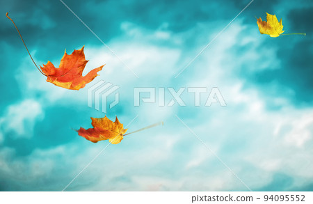 Falling autumn leaves on blue sky background 94095552
