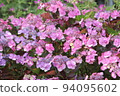 Hydrangea blueberry cheesecake 94095602