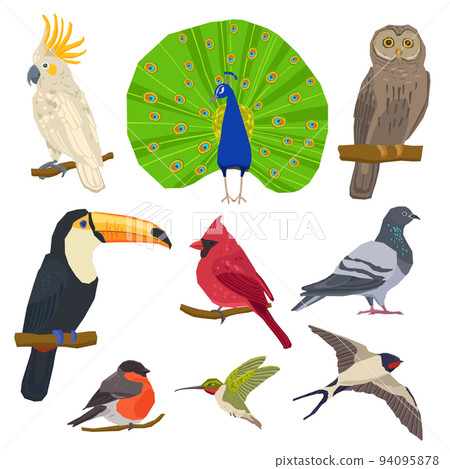 Bird Drawn Icon Set 94095878