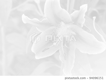 The soft black and white image concept of pink orchids for the background, design for use in national backgrounds, green bokeh background. The soft black and white image concept of pink orchids for the background, design for use in national backgrounds, green bokeh background. 94096151