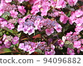 Hydrangea blueberry cheesecake 94096882