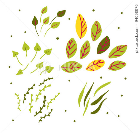 Doodle leaves set. Hand drawn cute plant Doodle leaves set. Hand drawn cute plant 94098076