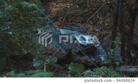 Crystal water stream flows through fall-colored forest. slow brook is flowing and splashing on the stones among the forested caucasian mountain range. peaceful landscape of autumn forest. 94098624