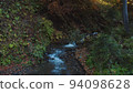 Mountain stream with crystal water flows through forest covered with colorful fall leaves. slow brook is flowing among the forested caucasian mountain range. peaceful landscape of autumn forest. 94098628
