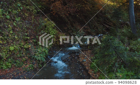 Mountain stream with crystal water flows through forest covered with colorful fall leaves. slow brook is flowing among the forested caucasian mountain range. peaceful landscape of autumn forest. 94098628