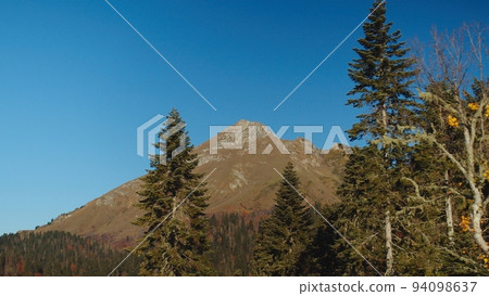 Exciting view on the mountain peak through the trees painted in autumn colours. clear sky in sunny fall day among forested mountain range. 94098637