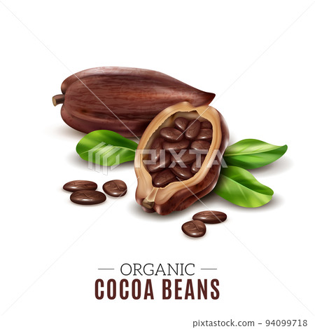 Realistic Cocoa Composition 94099718