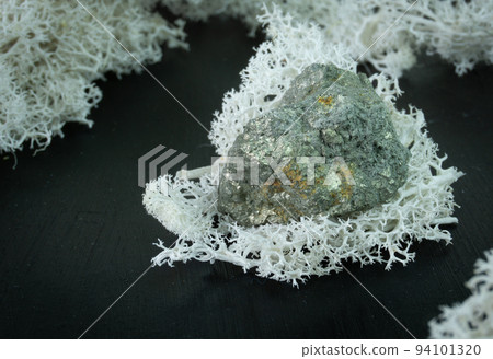 Arsenopyrite from China or Indonesia. Natural mineral stone on a black background surrounded by moss. Mineralogy, geology, magic, semi-precious stones and samples of minerals. Close-up macro photo Arsenopyrite from China or Indonesia. Natural mineral stone on a black background surrounded by moss. Mineralogy, geology, magic, semi-precious stones and samples of minerals. Close-up macro photo 94101320