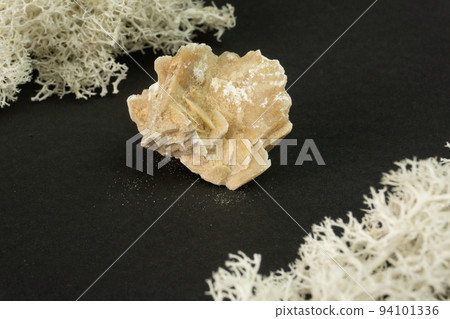 Desert rose crystal from Tunisia. Natural mineral stone on black background. Mineralogy, geology, magic of stones, semi-precious stones and samples of minerals. Close-up macro photo. Desert rose crystal from Tunisia. Natural mineral stone on black background. Mineralogy, geology, magic of stones, semi-precious stones and samples of minerals. Close-up macro photo. 94101336