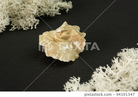 Desert rose crystal from Tunisia. Natural mineral stone on black background. Mineralogy, geology, magic of stones, semi-precious stones and samples of minerals. Close-up macro photo. 94101347