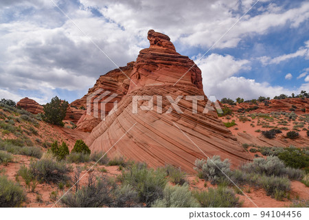 Coyote Butte South, Vermillion Cliffs National Monument, Arizona, USA Coyote Butte South, Vermillion Cliffs National Monument, Arizona, USA 94104456