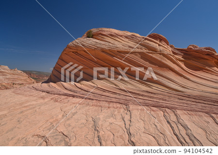 Coyote Butte North, Vermilion Cliffs National Monument, Arizona, USA 94104542