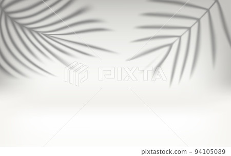 Bright interior with shadow of palm leaves on the wall. 3d vector illustration 94105089