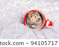 A cute fluffy golden hamster with black eyes sits in a red overturned cup and looks at the camera. Close up portrait of a Syrian hamster. Christmas gift, postcard. Love for pets. Copy space. 94105717
