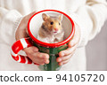 The child holds in his hands a Christmas mug, in which a cute golden hamster with black eyes sits and looks at camera. Close-up portrait of a Syrian hamster. Christmas gift, postcard. Love for pets. 94105720