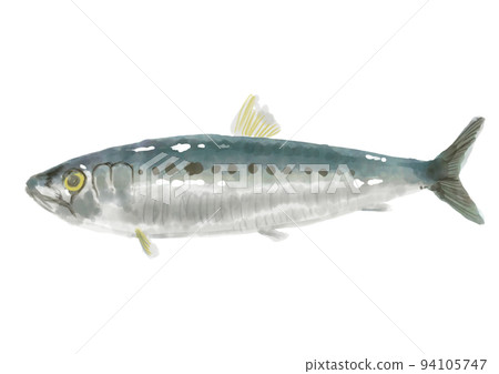 hand painted sardines 01 94105747