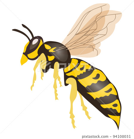 Wasp, insect icon. Illustration, vector Wasp, insect icon. Illustration, vector 94108031