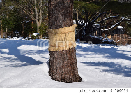 Pest control pine tree roll 94109694