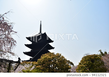 日本京都府京都市,春天的東寺,盛開的櫻花和國寶五層塔 日本京都府京都市,春天的東寺,盛開的櫻花和國寶五層塔 94112321